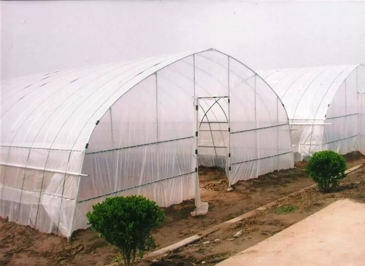 Sunlight Tunnels Plastic Film Greenhouse Single Tunnel Green House