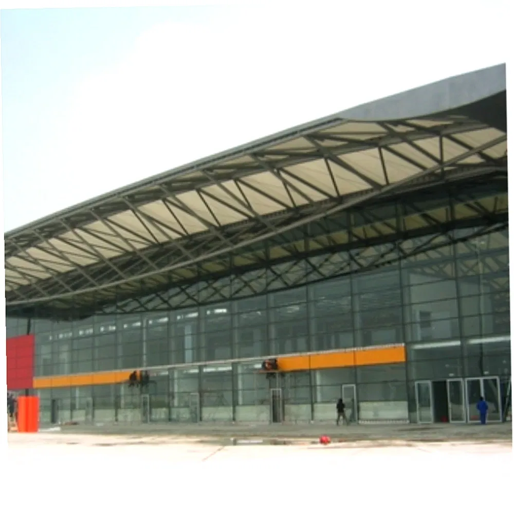 Professional Design Prefabricated Steel Shed Construction Building