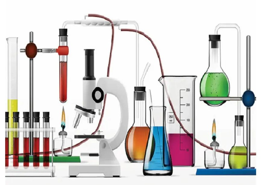 High-Capacity Vacuum Brinell Filter Flask for Lab Filtration