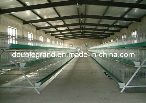 Prefab Steel Structure Poultry House, Chicken House, Farm Building