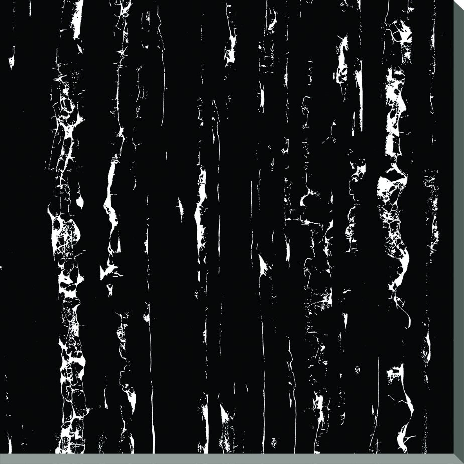 Плитка напольная полированная 600x600 Black White Stripe