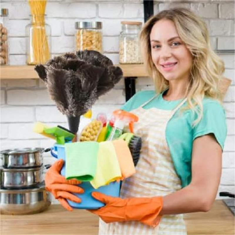 Mini Duster 14" L Delicate Surface Ostrich Feather Furniture Fuzzy Cleaning Dusters