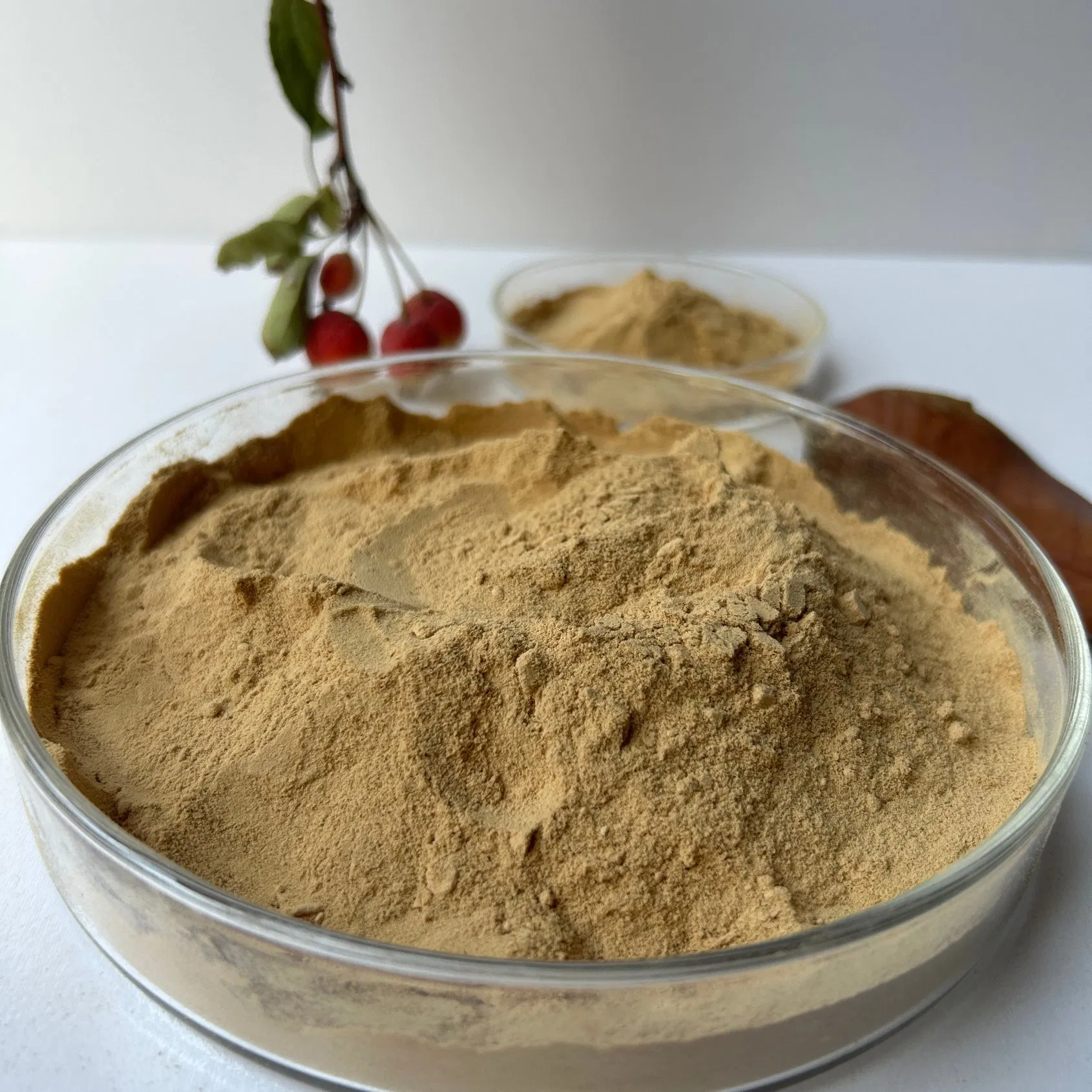 Selected Materials for The Production of Air-Entraining Agent Powder Cement Concrete Additives