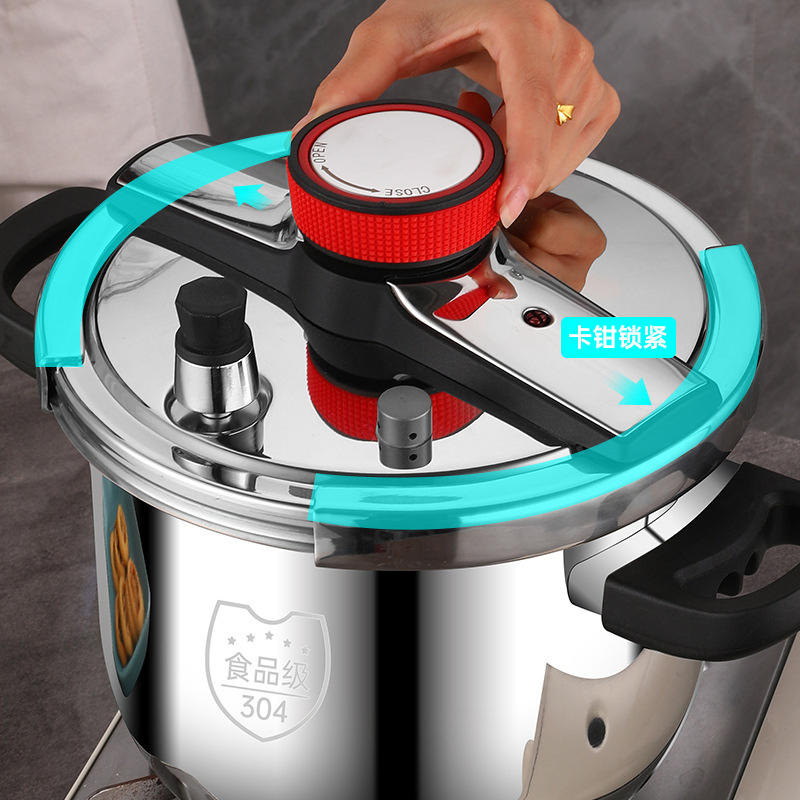 Premium 6 Litre Induction Cooker with 304 Stainless Steel Design