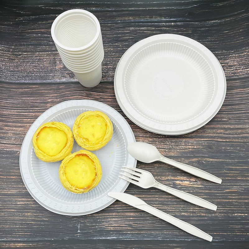 Heat-Resistant Disposable Eco-Friendly Plates 10 Inch Biodegradable Lunch Tray