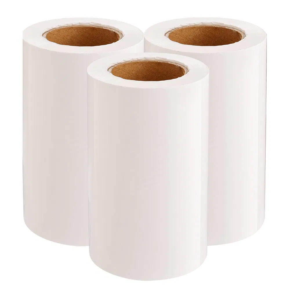 Rightint Food Label Carton A4, in Rolls, OEM Pet Sheet Paper