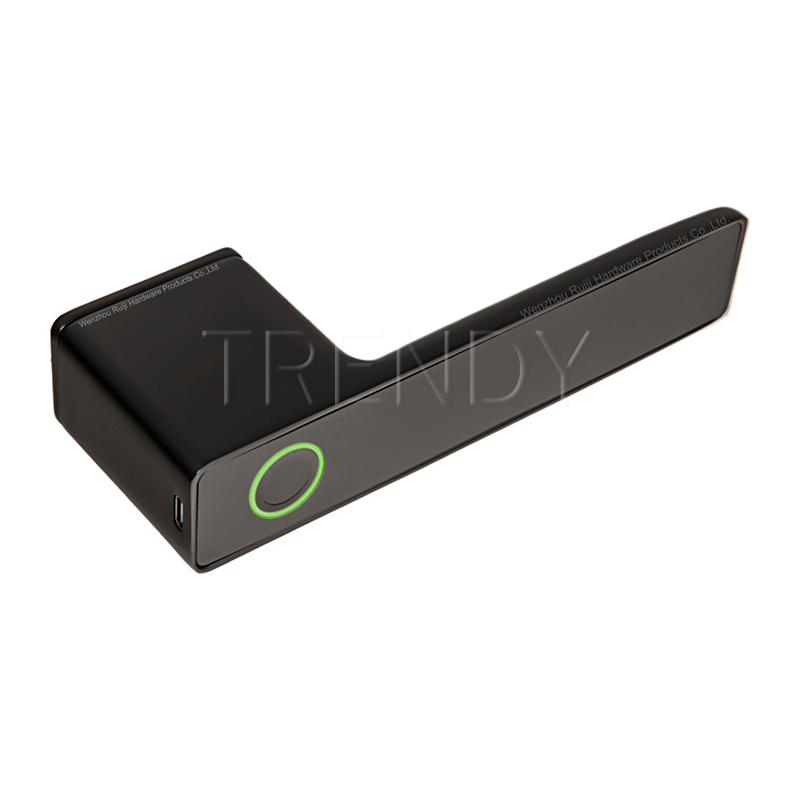 Electronic Smart Lock Handle Two Part Removable Piece Cover Door Lock Tt Tuya APP Fingerprint Door Handle (STS006)
