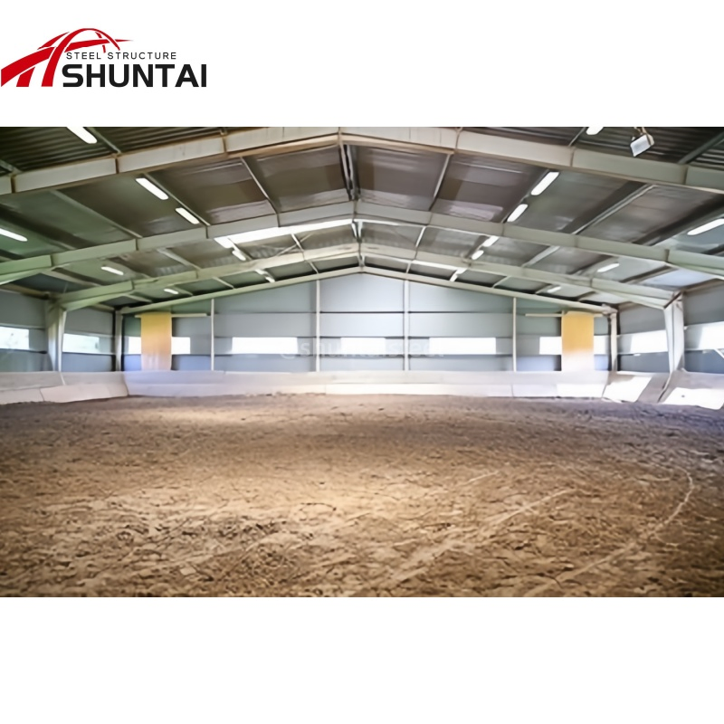 Height 12m Light Steel Prefabricated Shed Building Metal Factory Large Workshop Steel Frame Steel Structure Warehouse