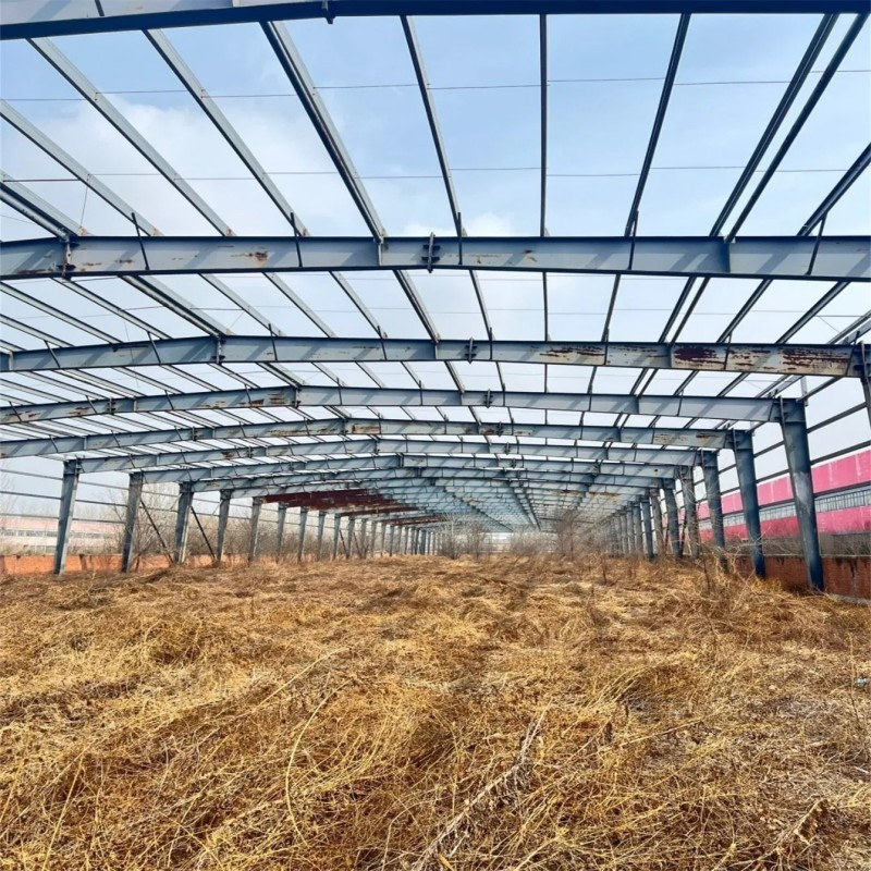 Steel Walkway and Floor Hot-Rolled Prefabricated Metal Building for Sale