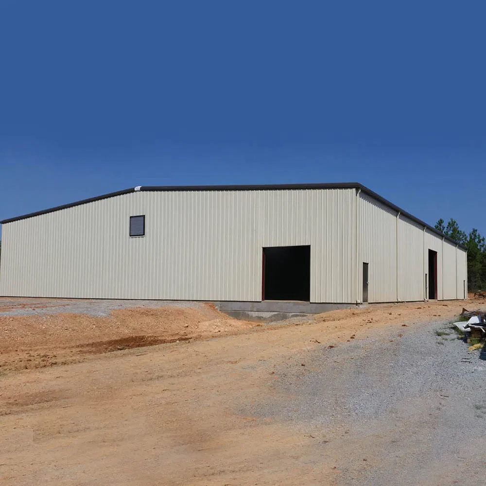 Easy Assembly Steel Frame Industrial Workshop for Global Buyers