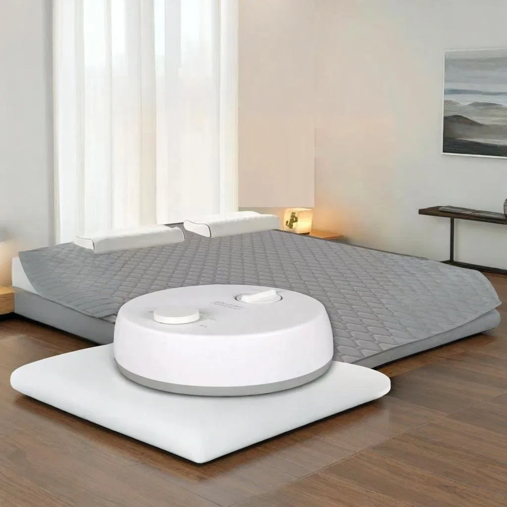 China 1688 Factory Wholesale Fast Heating Dual Control Electric Heating Blanket