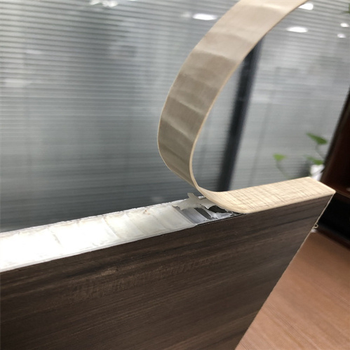 Rich Appearance Honeycomb Panels for Furniture Use