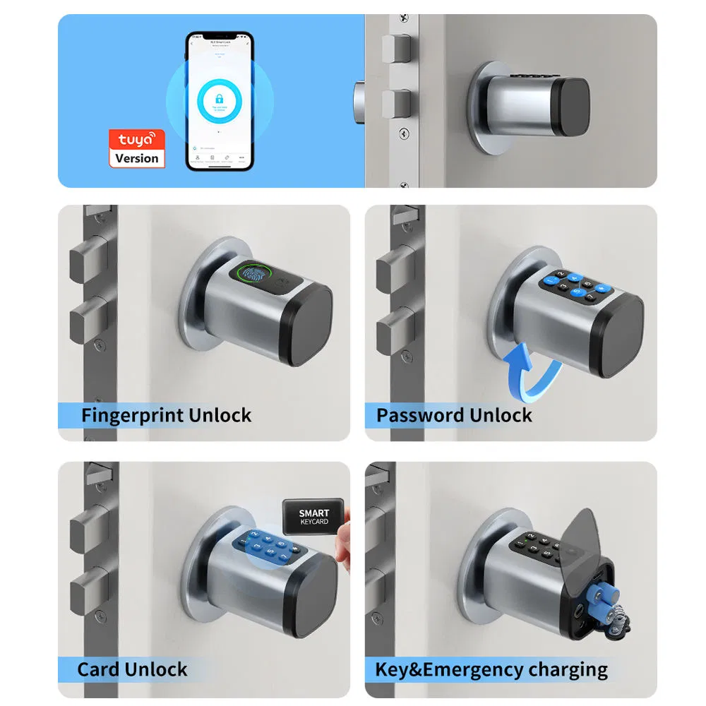 Ready Stock Electronic Lock Core Fingerprint + Code + RFID Card Easy Replacement Without Changing Door Handle