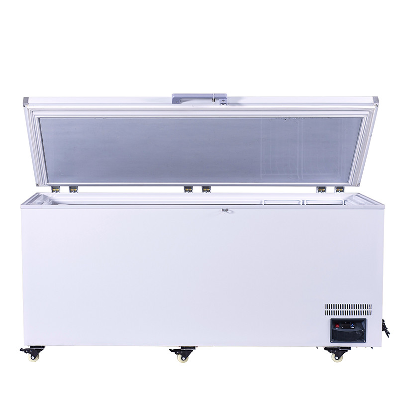 Large Capacity Low Temperature Fish Meat Frozen Report Fresh-Keeping Deep Freezer