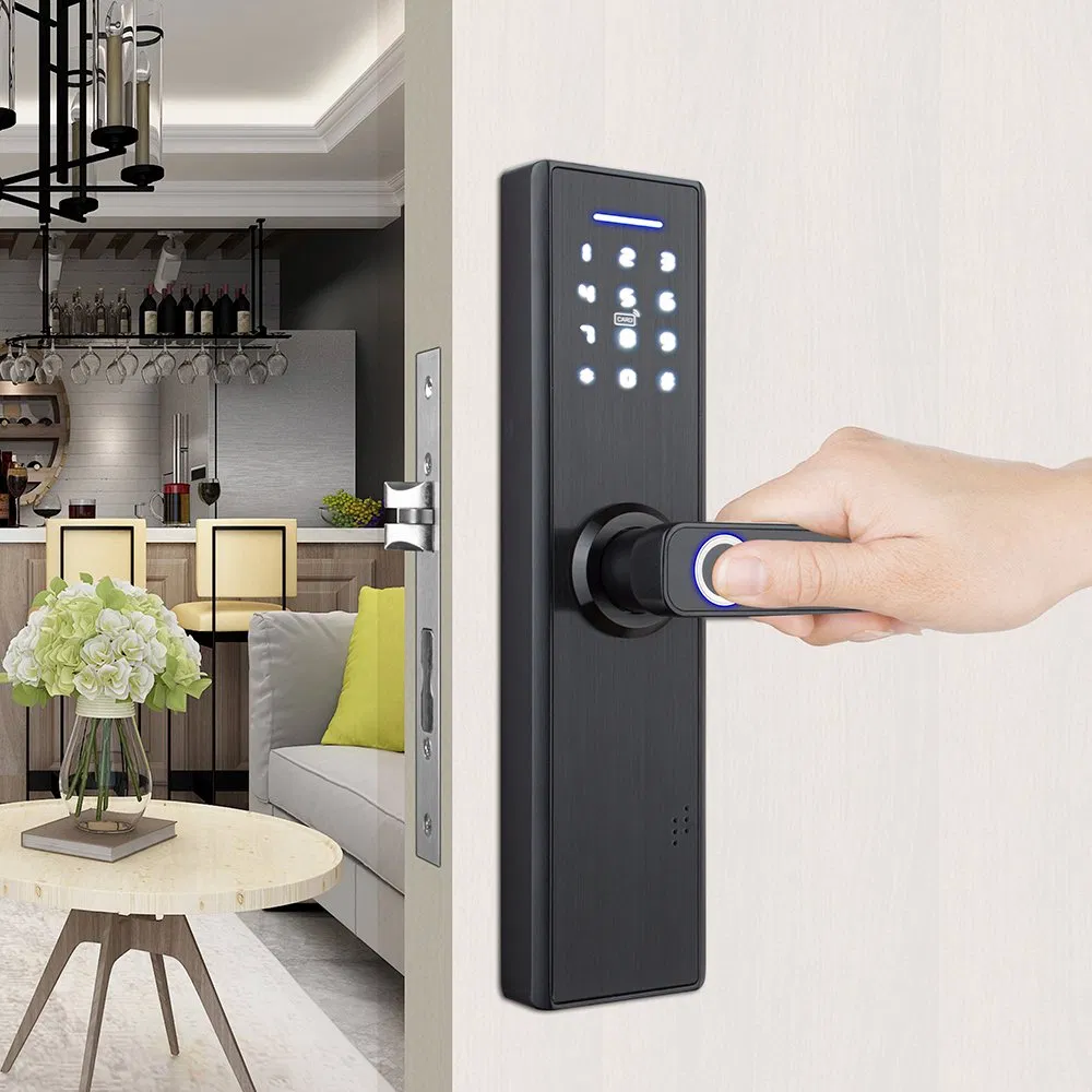 Smart Door Lock Works with Tuya Ttlock for Rental Room