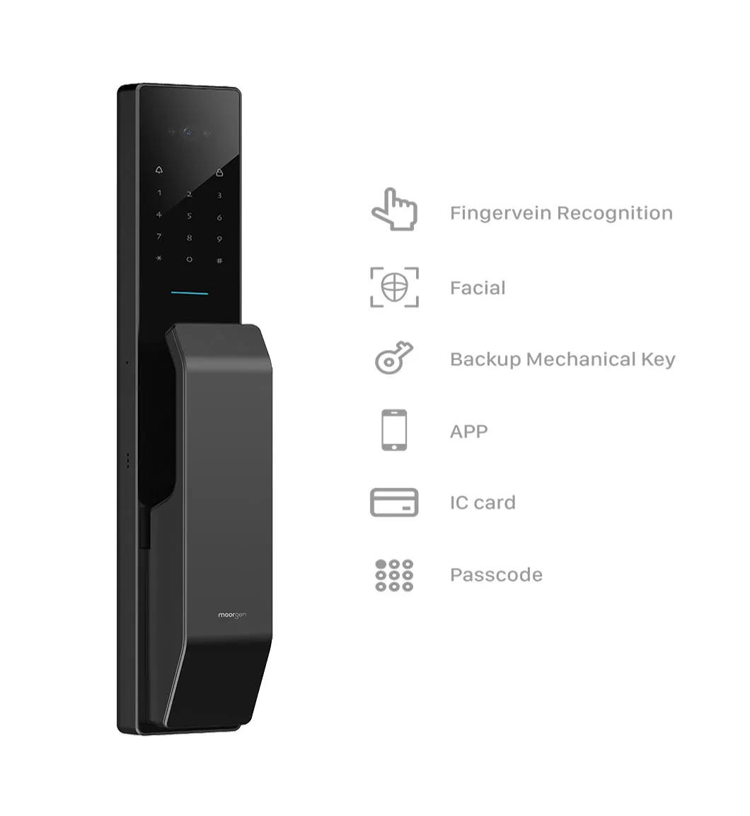 Facial Recognition Smart Door Lock Camera WiFi Biometric Smart Lock Electromagnetic Lock Door Handle Lock