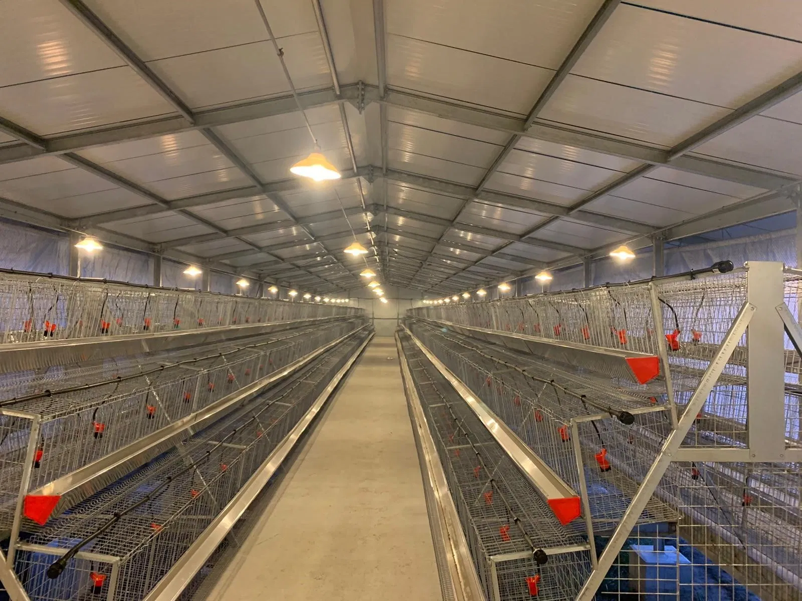 Classic Factory Designed Prefabricated Steel Structure Chicken House for Cage Feed