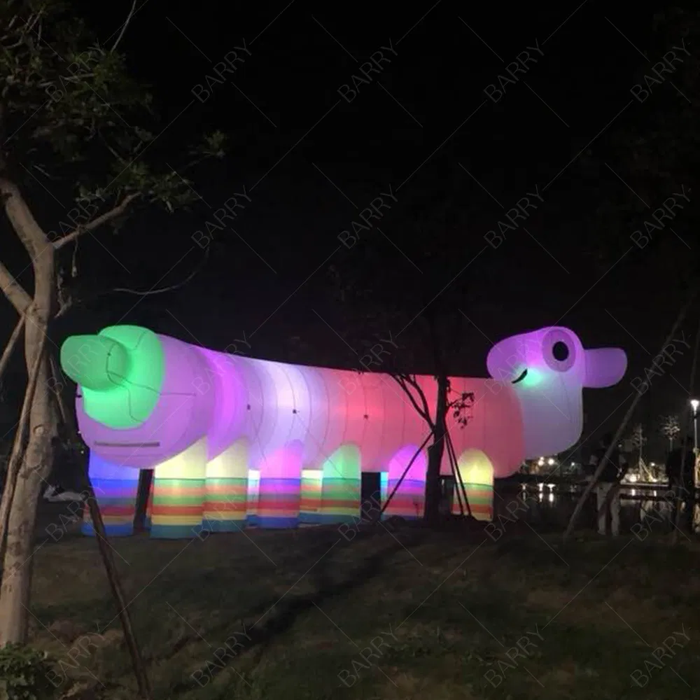 Outdoor Special Shape Lighting Inflatable with LED Light for Advertising Event