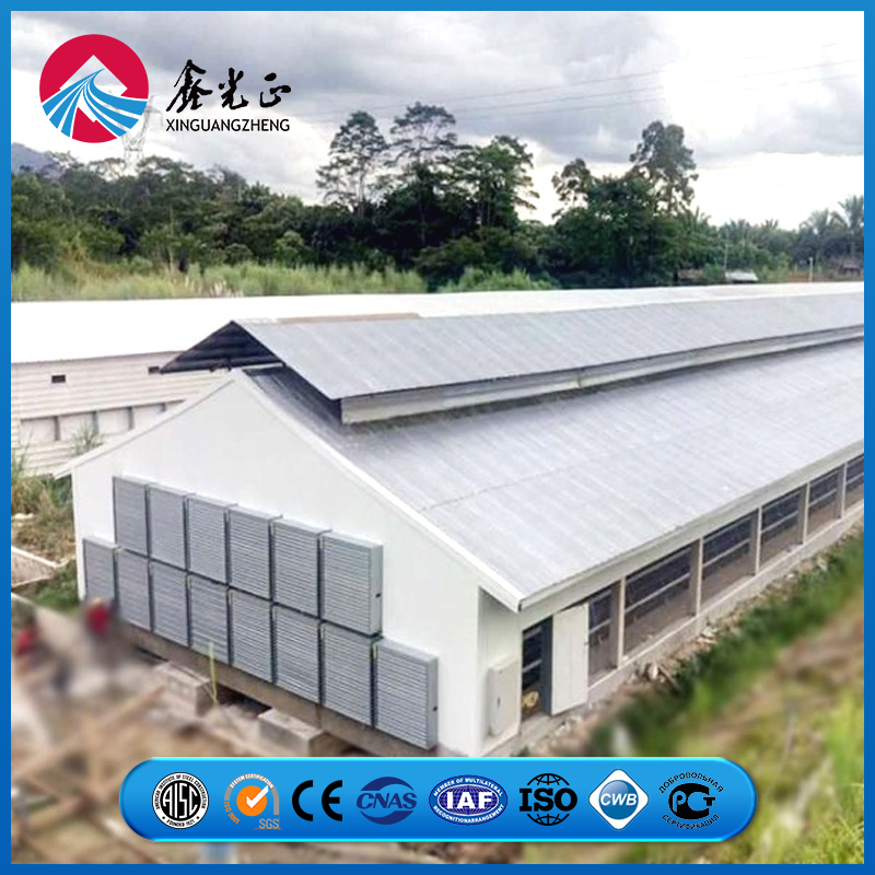 Truss Apex Reinforcement Plate Frame Chicken Prefab Metal Farming Equipment Steel Structure Sheep/Goat/Pig/Hog/Cattle/Cow/Poultry House/Shed