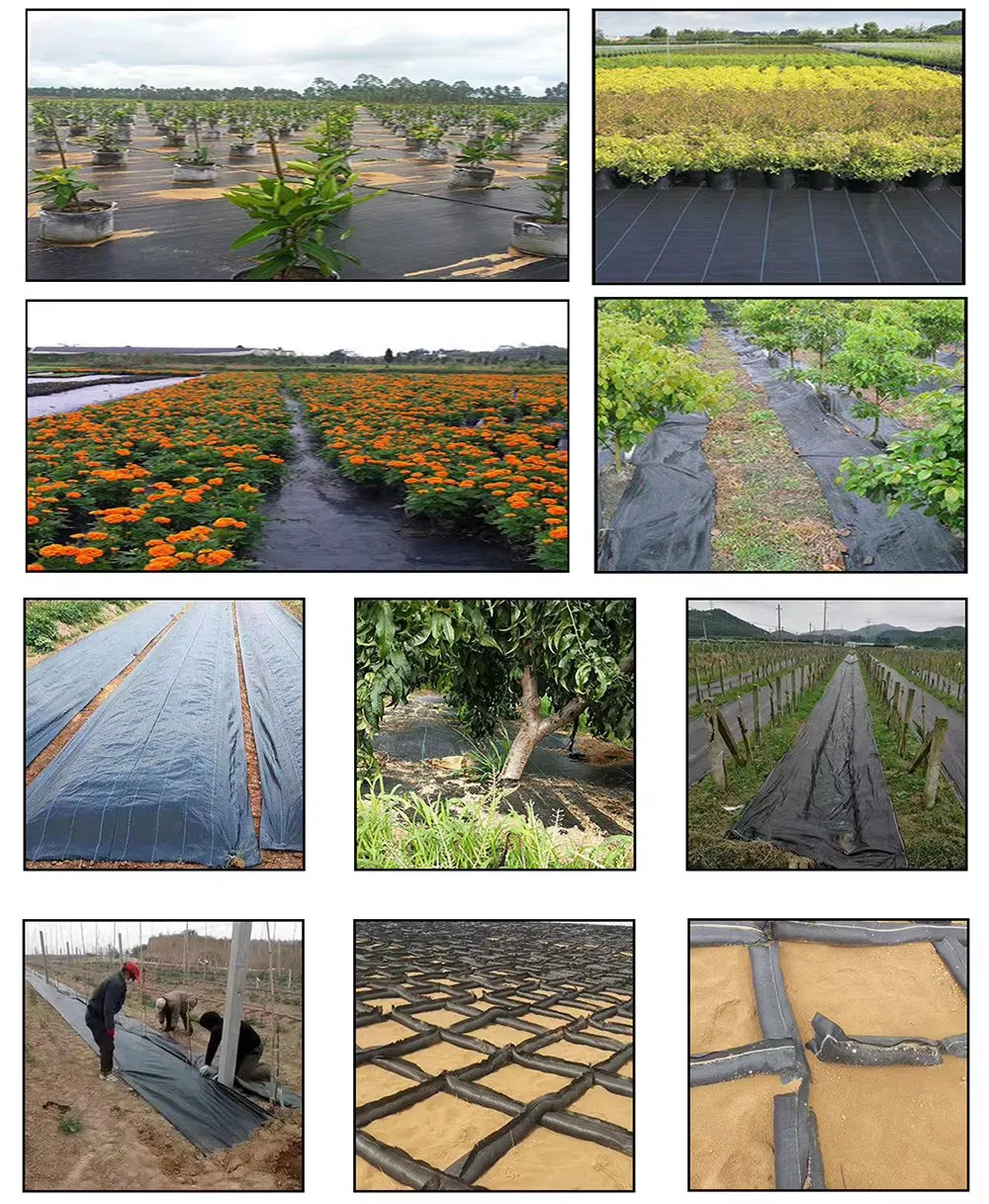 Anti Weed Mat Weed Control Barrier