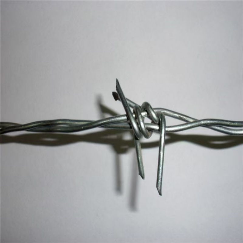 Factory Direct Galvanized Barbed Wire for Effective Fencing Solutions