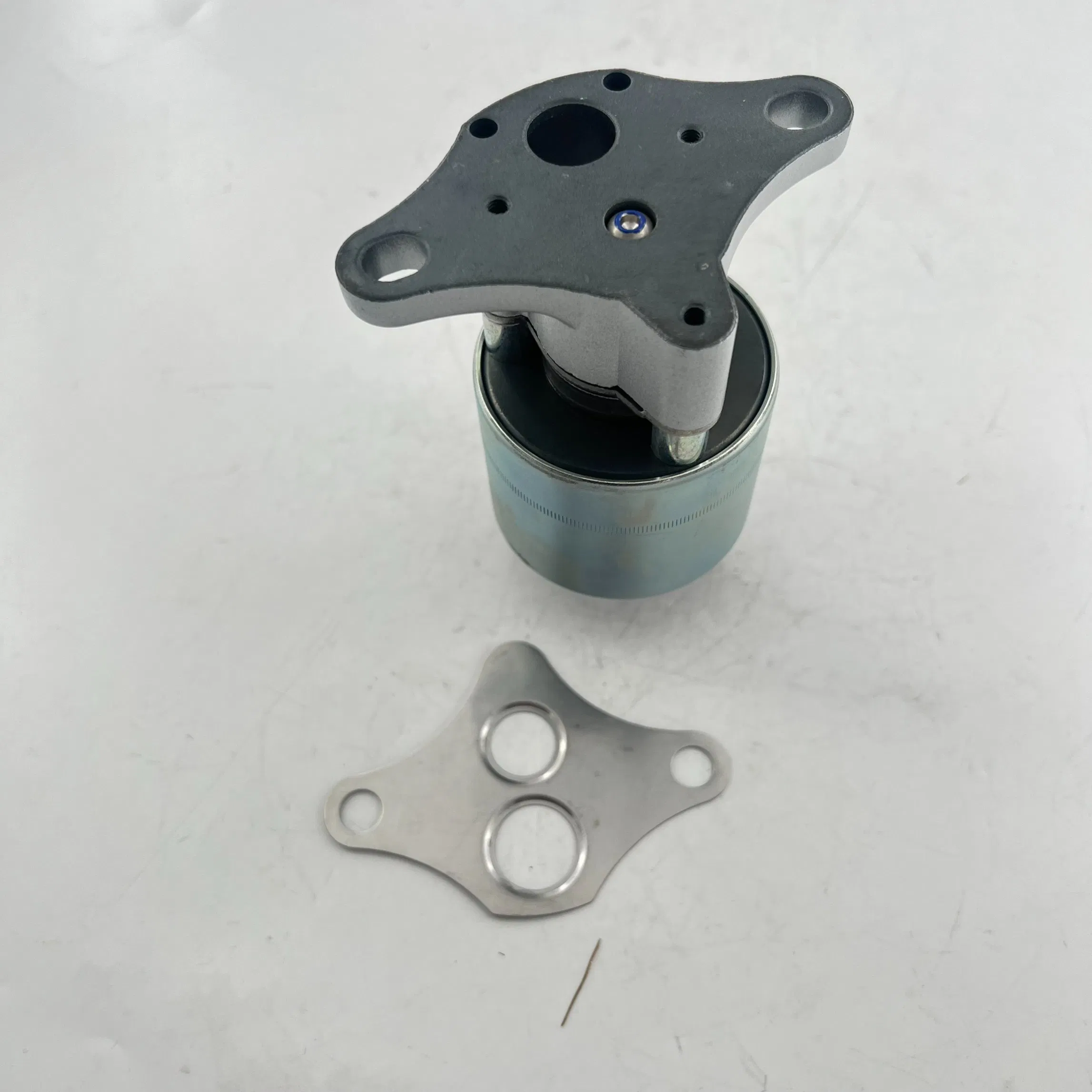 Клапан EGR EGV587 для Buick, Chevrolet, Daewoo, Jaguar