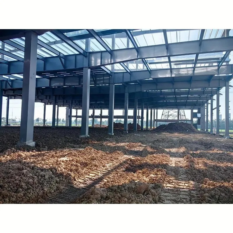 China Made Light Steel Frame Factory Shed Metal Warehouse Structure