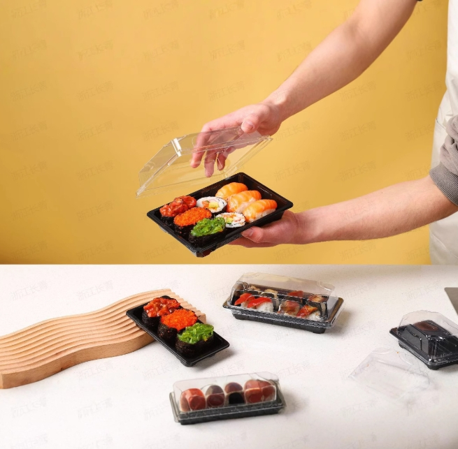 Plastic Sushi Tray Box with Transparent Lid Rectangular Takeaway Packaging Food Container