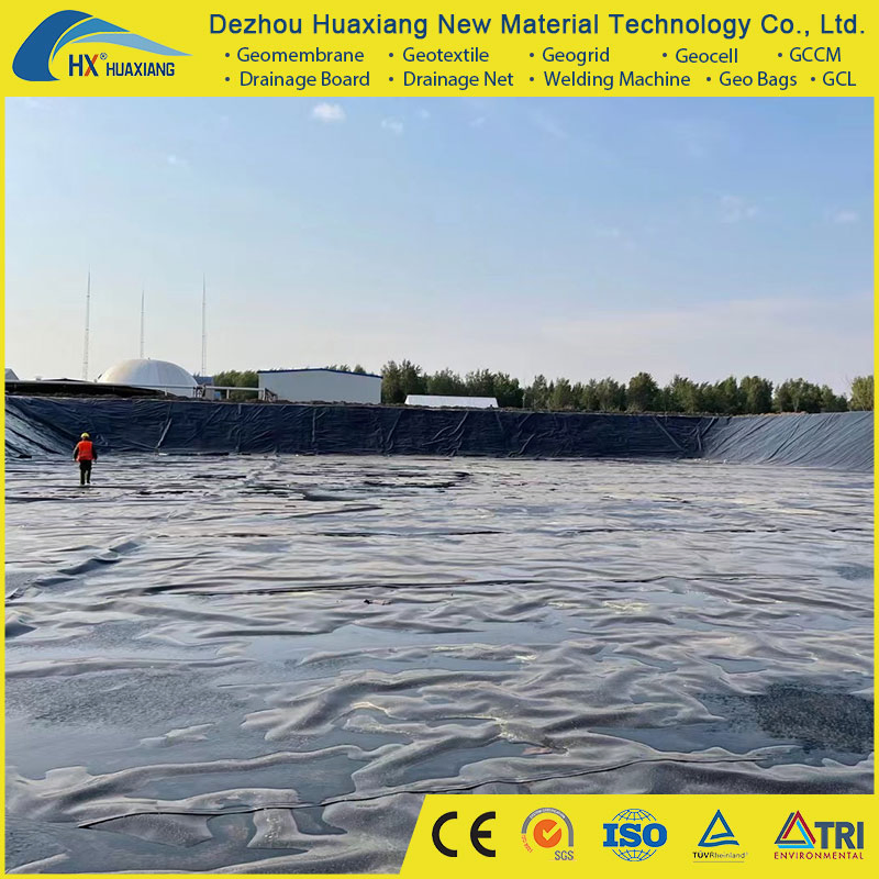 Factory Price Dam Fish Farm Tank Pond Liner HDPE Geomembrane