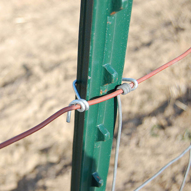 High Quality 6/8FT American Steel Galvanized / Green Studded T Post