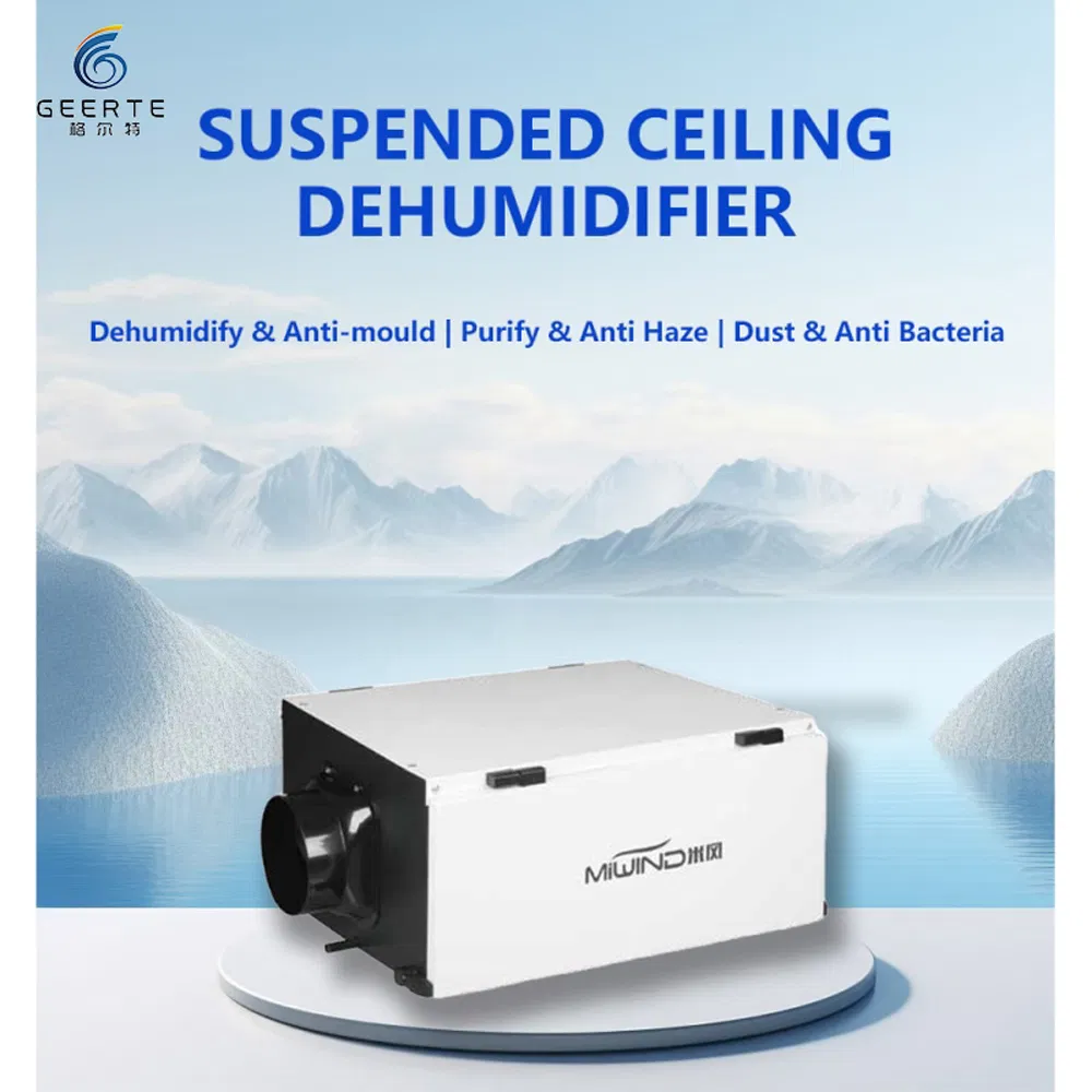 Dehumidifier Industrial New Ceiling Dehumidifier for Swimming Pool