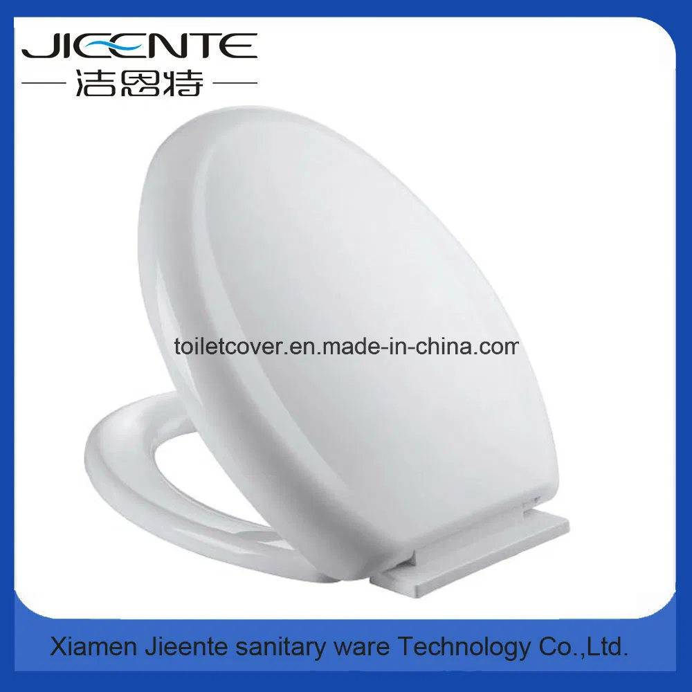 Toilet Seat with Soft Closed