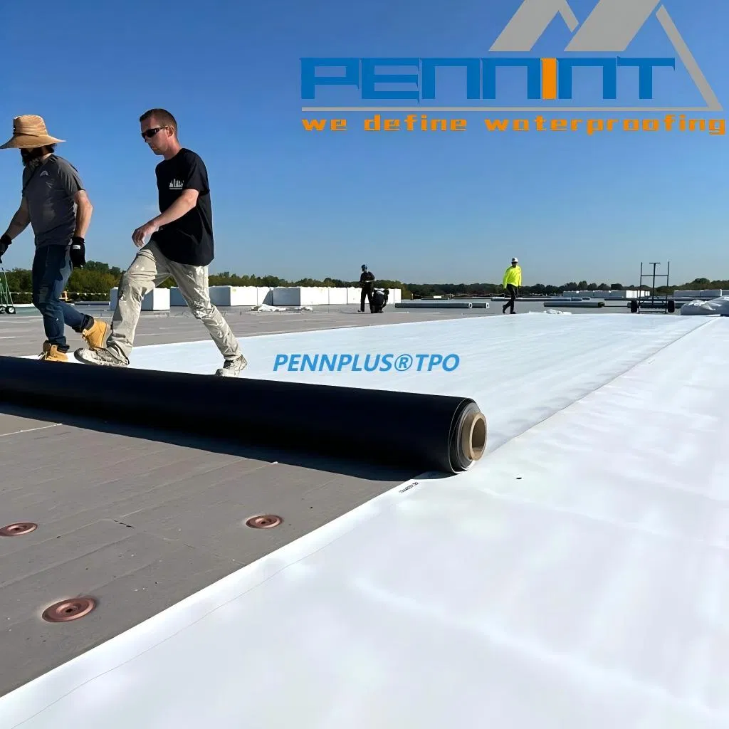 Tpo Building Waterproofing Membrane for Basement and Roofing