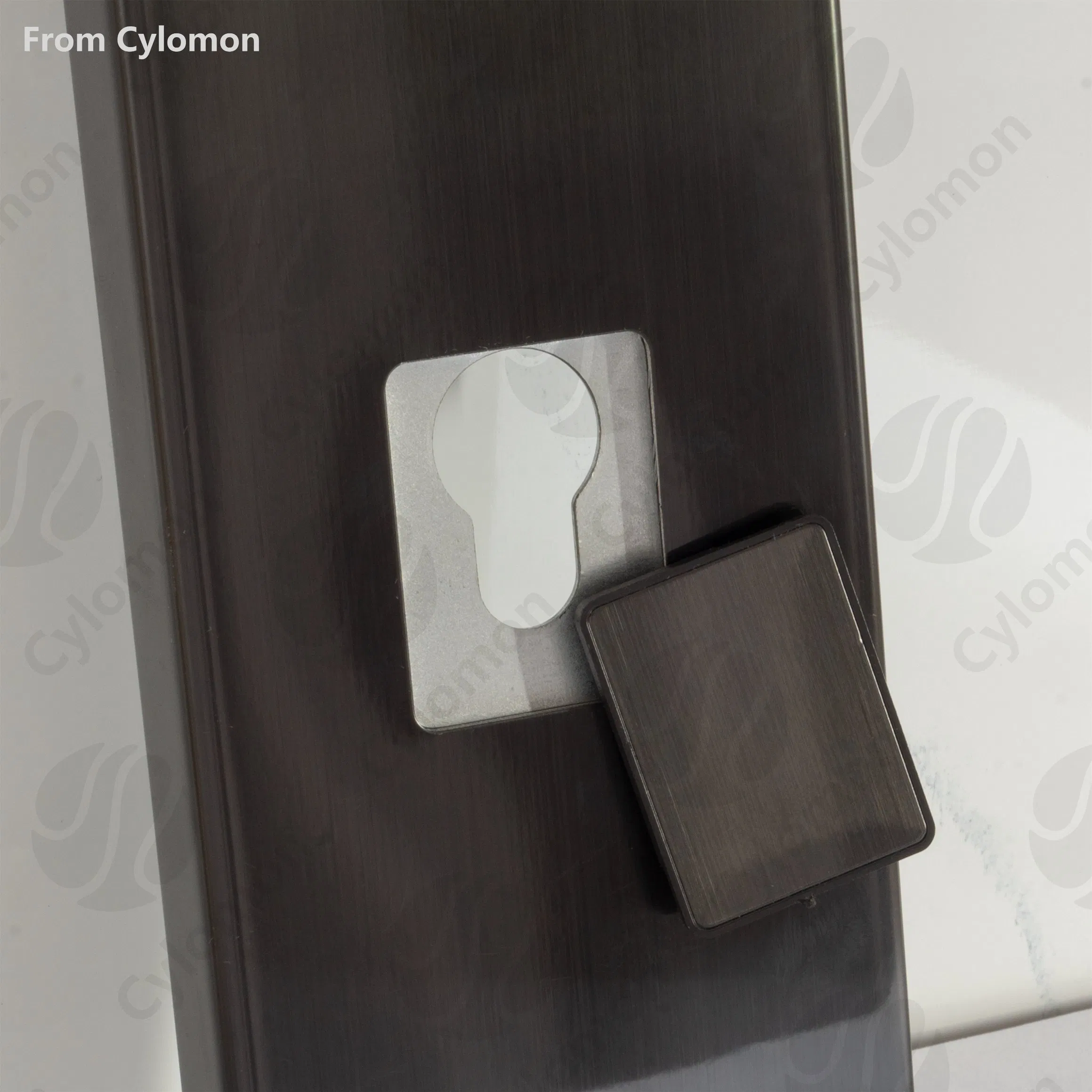 China Factory High Quality Keyless Electric Support Wholesale Magnetic Card Electric Aluminum Alloy Smart Lock