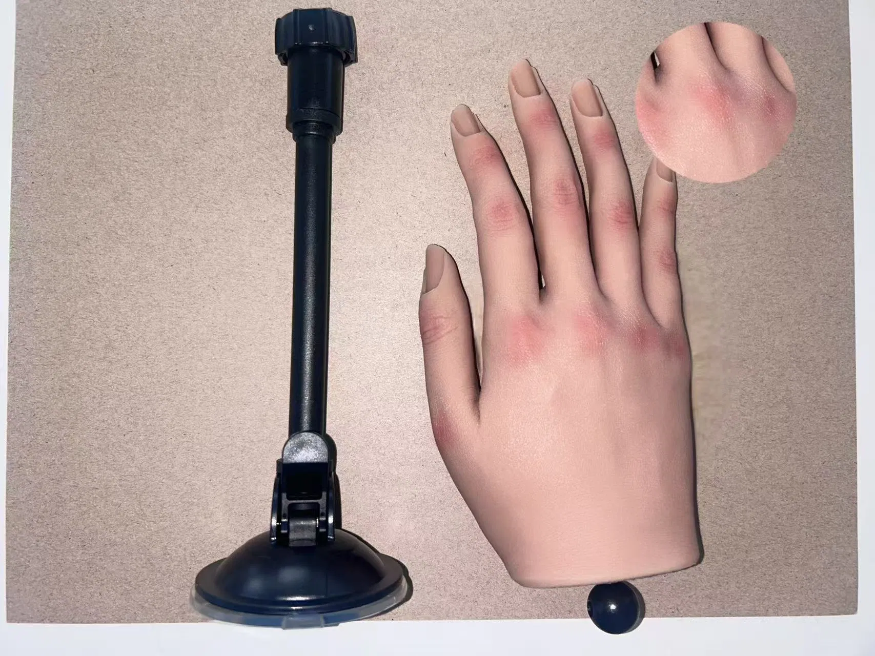 Ultimate Silicone Nail Training Model for Beauty Schools