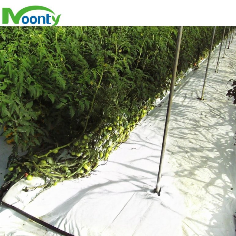 Weed Control Cloth Ground Cover Weeding Cloth for Greenhouse Farm Garden Nursery