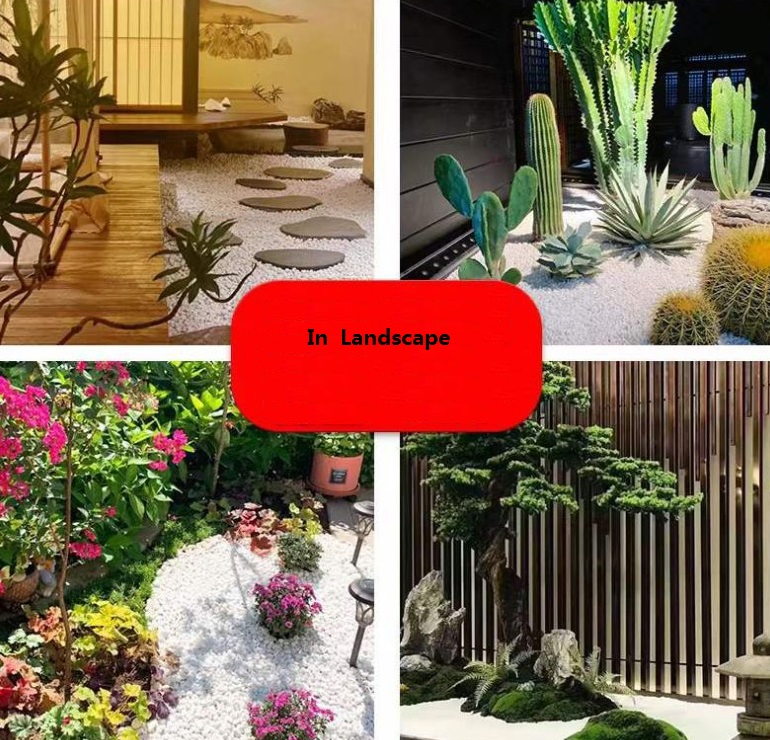 Nature Decorative Rocks for Plants and Garden Landscaping, Polished White Pebbles Stone