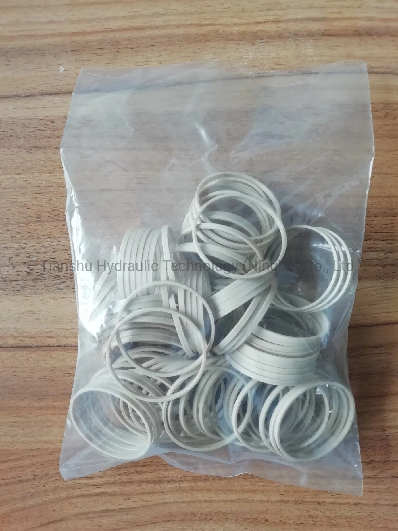 Hagglunds Hydraulic Motor Spare Parts Piston Ring Distributor Shaft Lip Seal