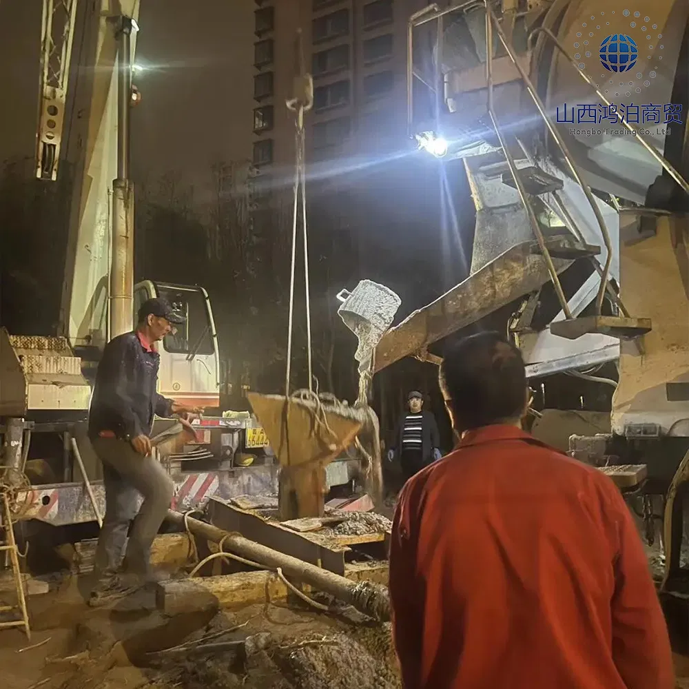 Failsafe Steel Overpass Bridge - Protected Walkway for Public Access