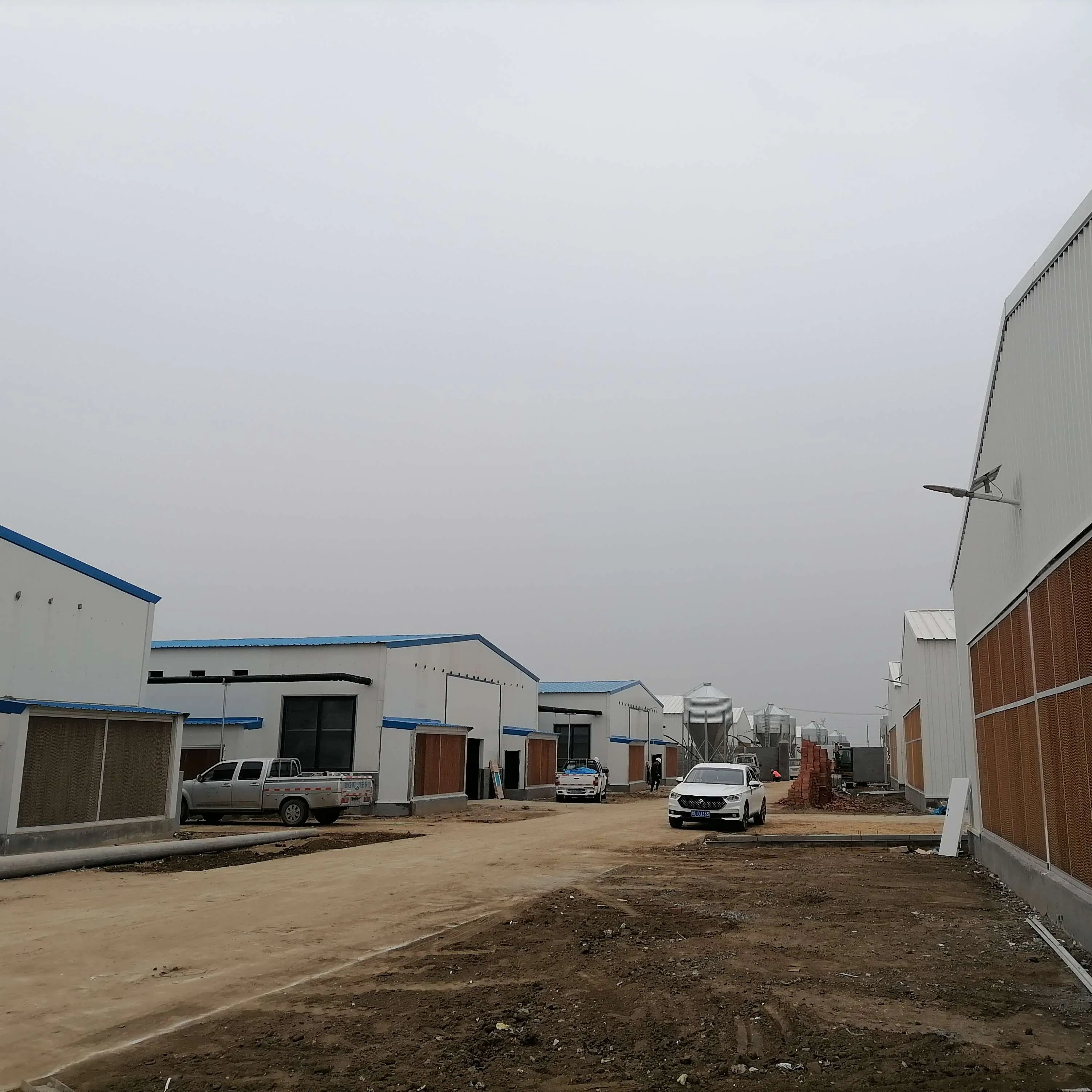 Prefab Steel Structure Animal Poultry Shed Chicken Farming House Building