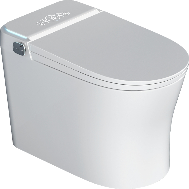 Simple and Popular Fashionable Intelligent Toilet