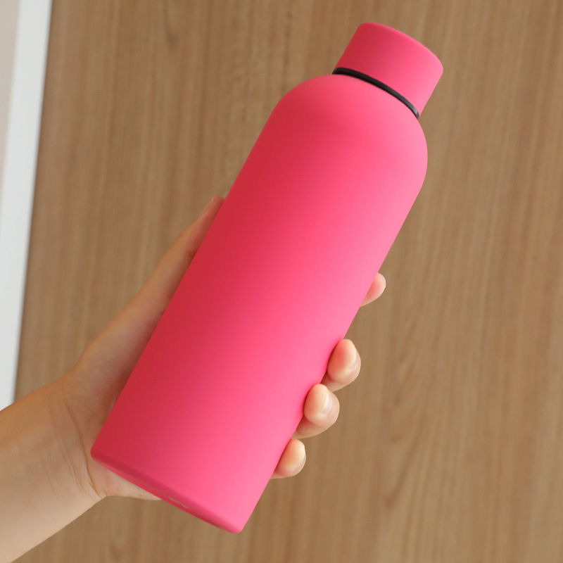 Insulated Thermal Stainless Steel Water Bottle for Hot and Cold Drinking