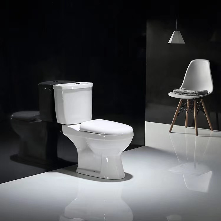 Factory Wholesale Price Popular Designs Home Luxury Bathroom Products Sanitaryware Wc Closestool White Color Two Piece Ceramic Toilet