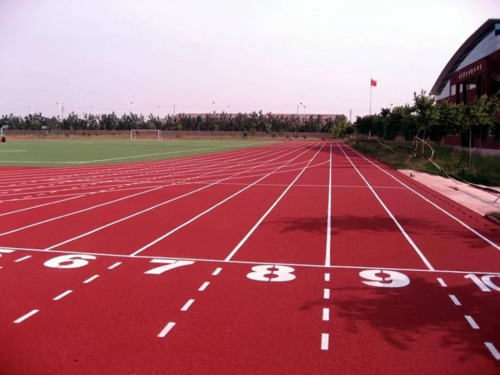Customize Field Stadium Long Life Customized Colors EPDM Rubber Particles