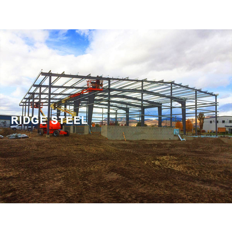China African Project Build Prefabricated Steel Structure Building Shed Workshop