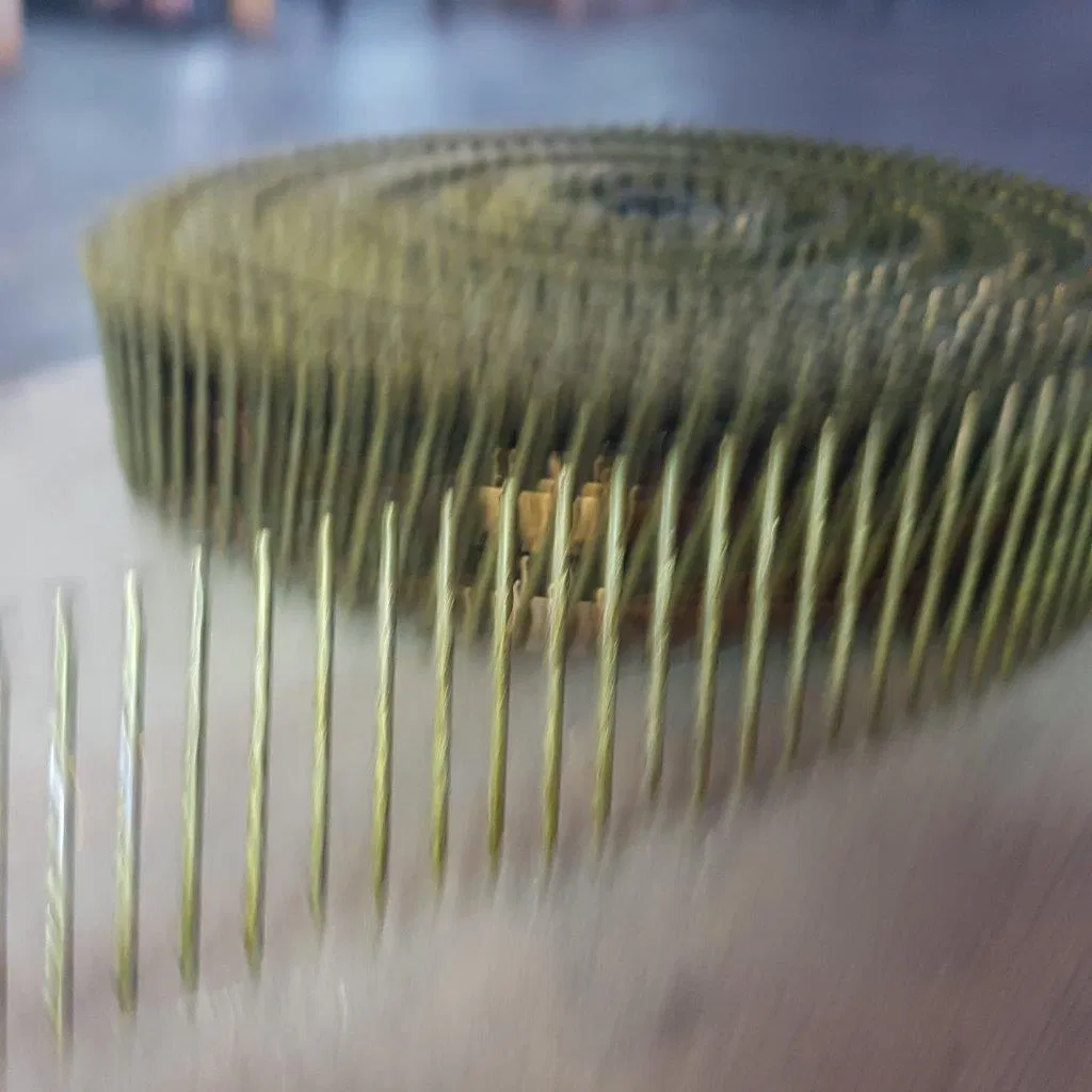 High Quality 5 Degree 2 - 3 Inches Coil Nails