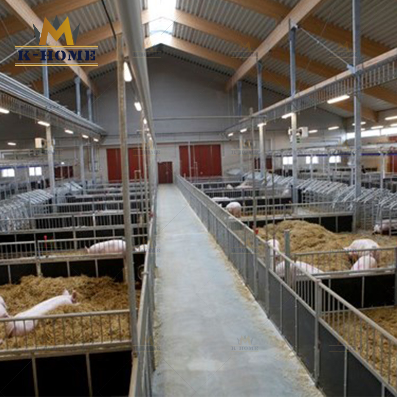 Modern Design Steel Structure Chicken Poultry Breeding Shed Poultry Farm