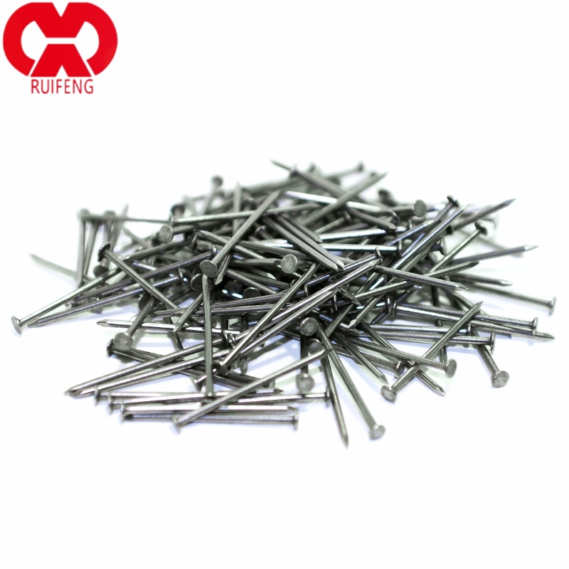 Hot Sale BRT/Eg/HDG Common Nails for Construction