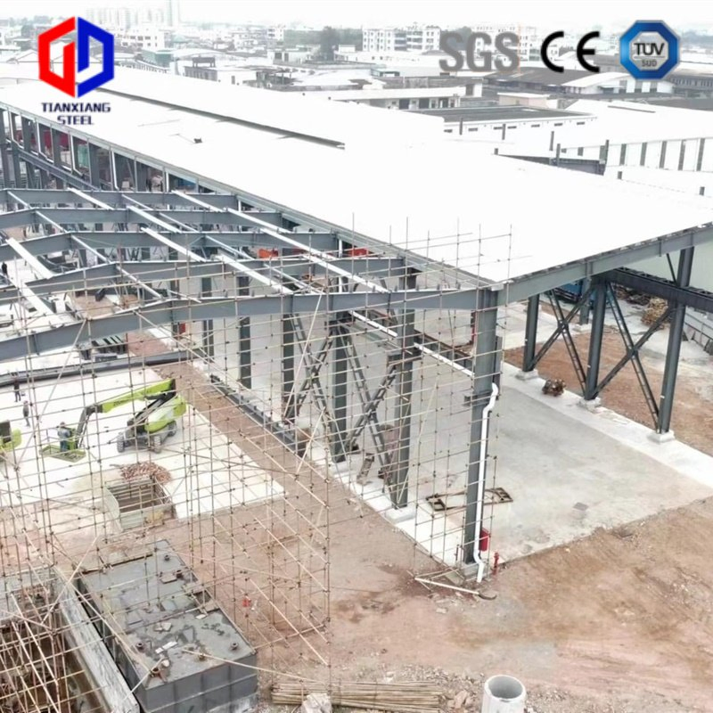 Prefabricated Steel Structure Building Design Cow Farm Shed