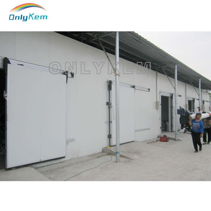 Insulated Polyurethane PU XPS Panel for Cold Room